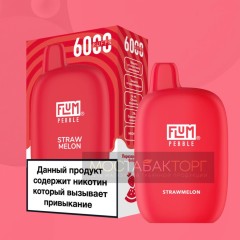 Электронная сигарета FLUM Pebble Клубника Арбуз