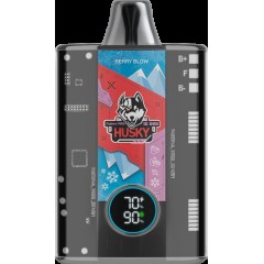 Husky cyber pro Berry Blow Черника / гранат / ваниль / лёд