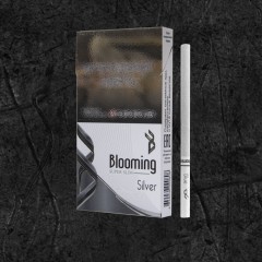 Сигареты Блюминг Сильвер (Blooming Silver)