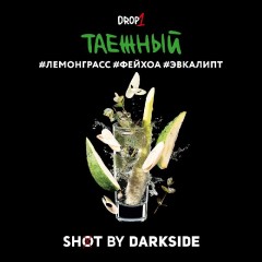 Табак для кальяна Darkside Shot Таёжный Трип (Лемонграсс, Фейхоа, Эвкалипт) 30 гр