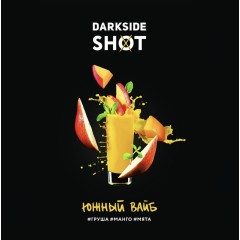 Табак для кальяна Darkside Shot Южный Вайб 120 гр